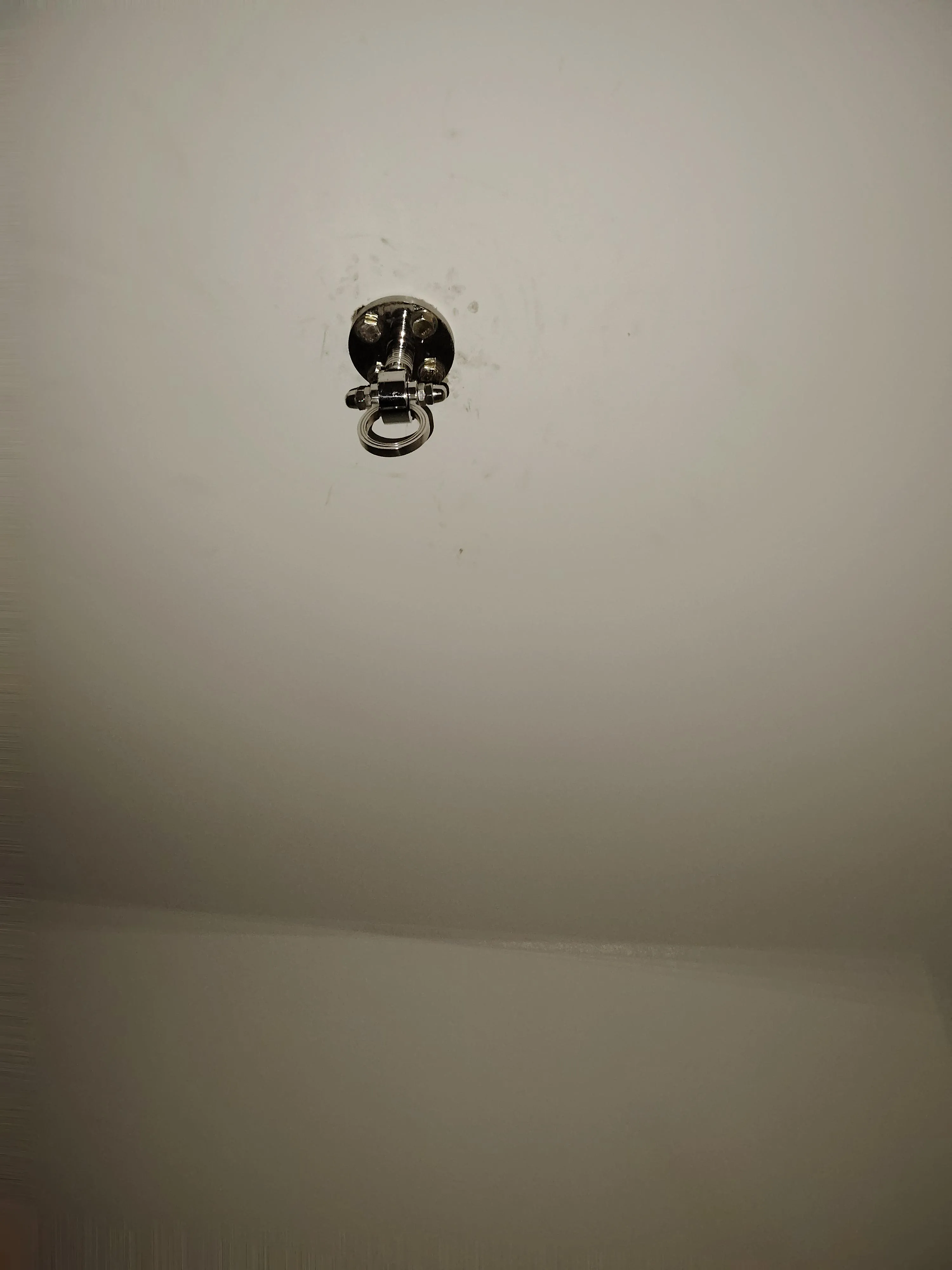 Ceiling hook