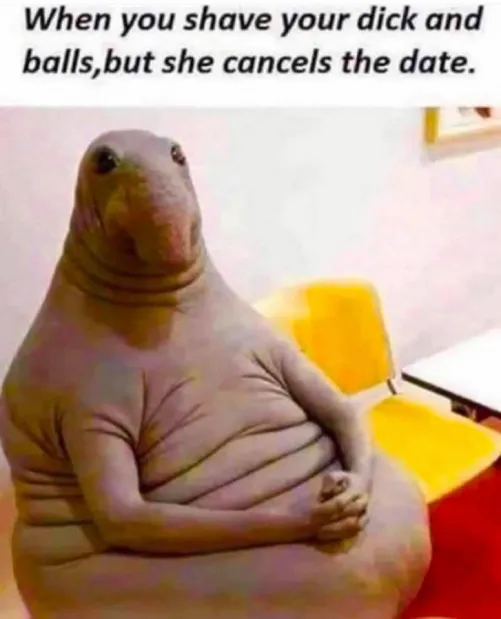 damn, must be what it feels like to give a ride and get nothing in return