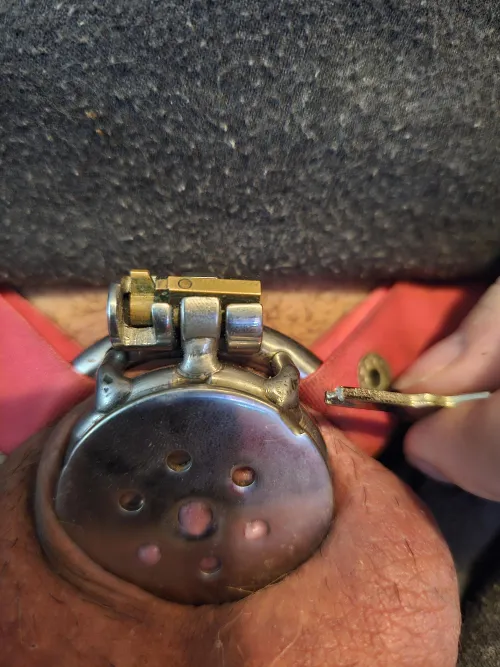 Day one of permanent lock this should keep me in