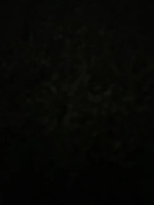 DTF tonight in Columbus GA . Male looking for females . I’m 29