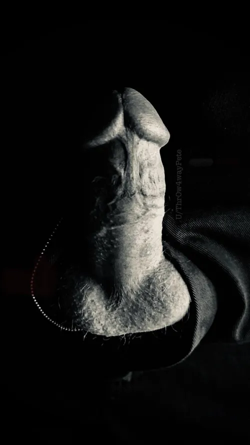 (M) Contrast in Kitsap