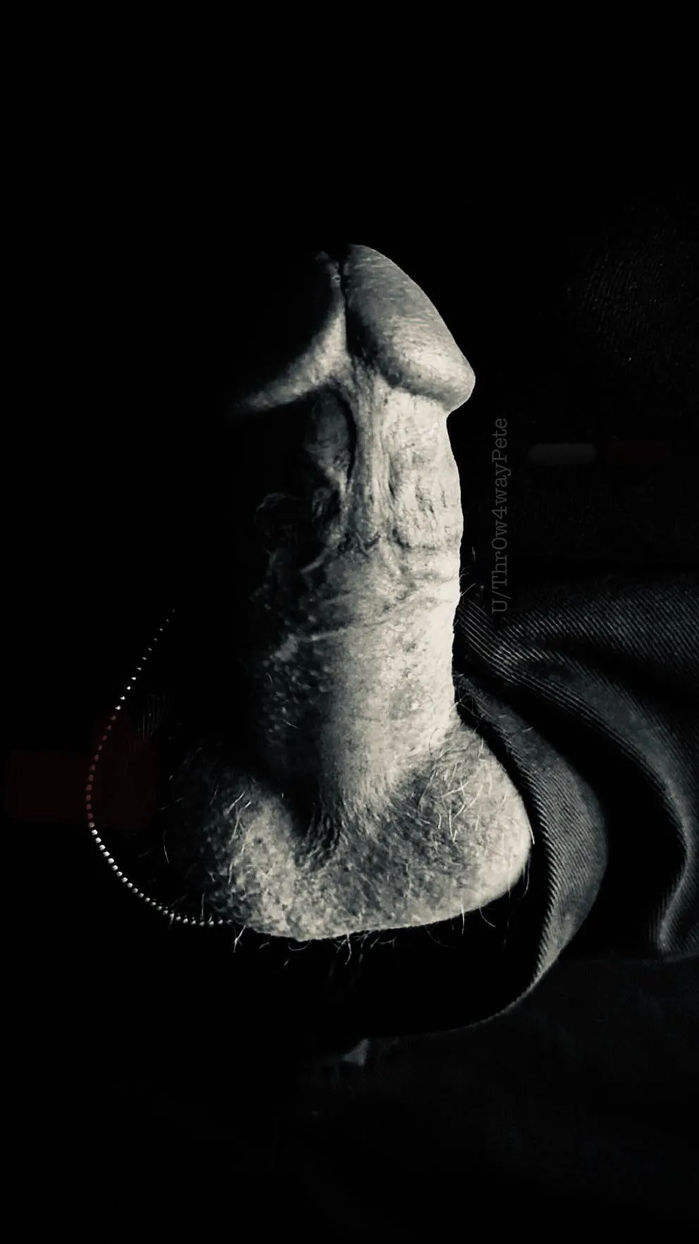 (M) Contrast in Kitsap