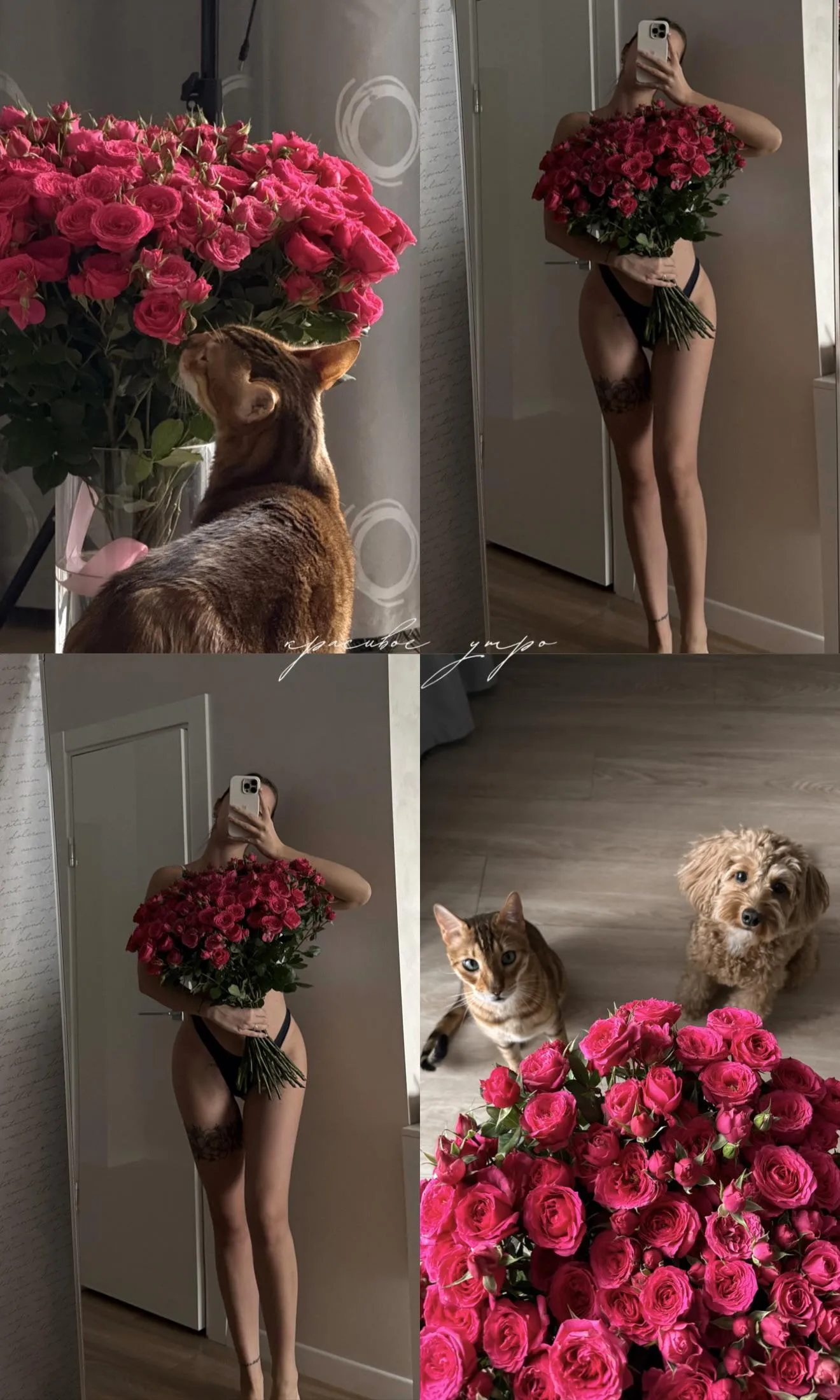 Marina | Flowers and bae