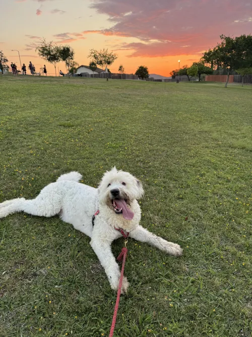 Single dude here for work