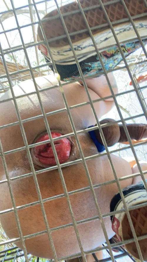 Some outdoors fun love showing off my prolapse