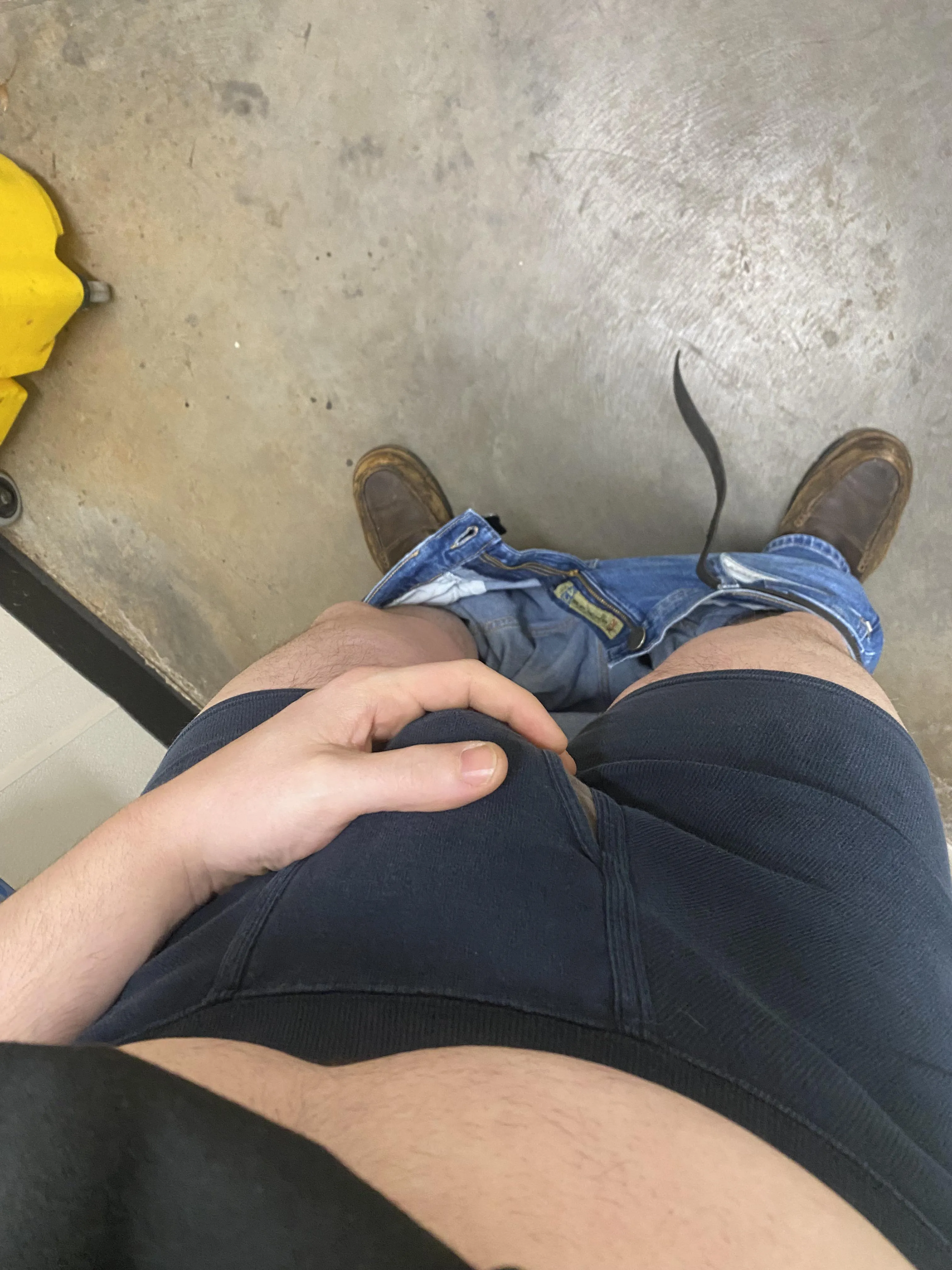 Boxer briefs this morning