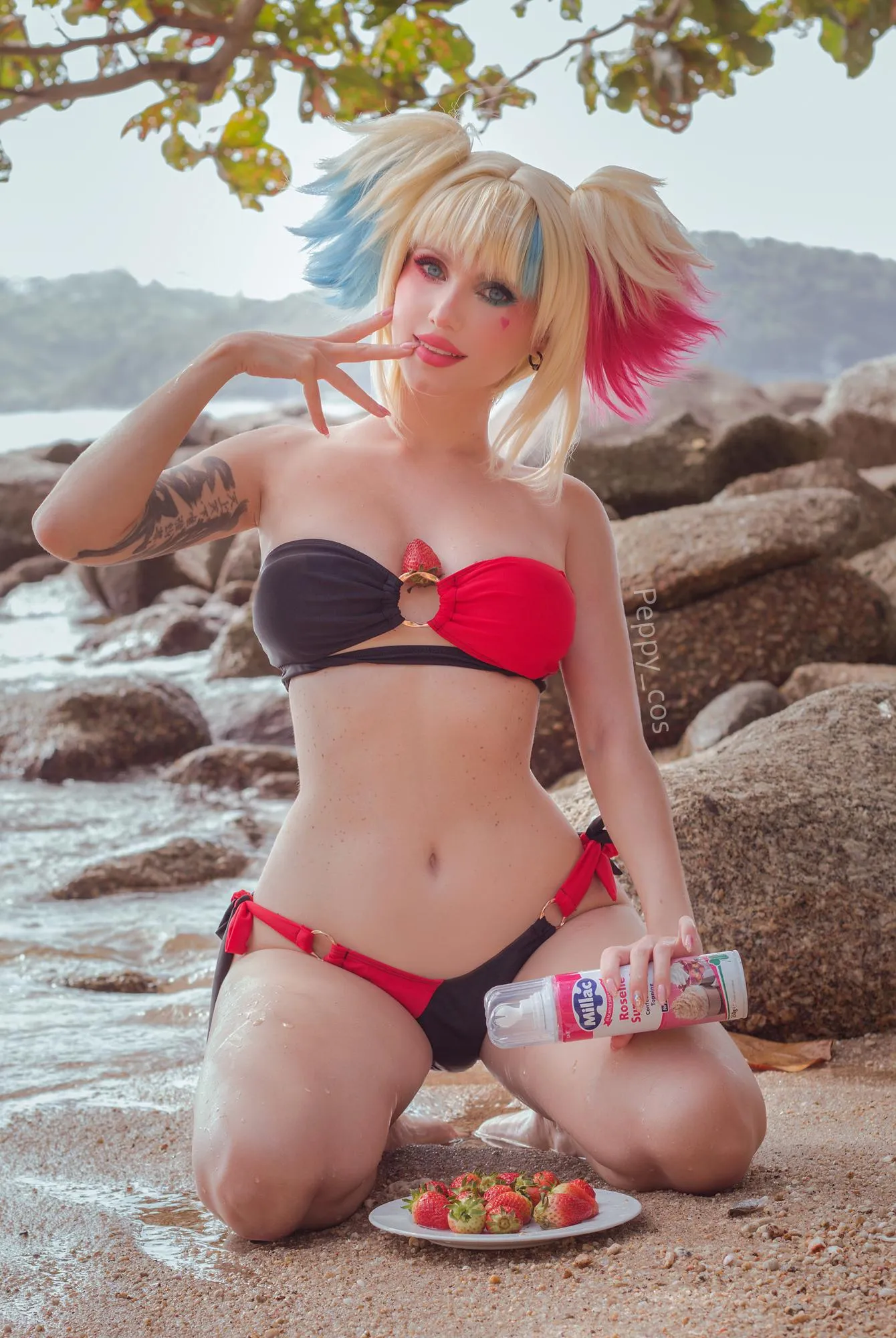 My version of Harley on vacation (by Peppy_cos)