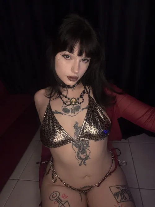 You have something to cheer me up?