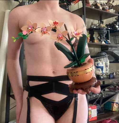 10343- loving the mini orchid. Easy quick build and perfect to fill some gaps on my shelf.