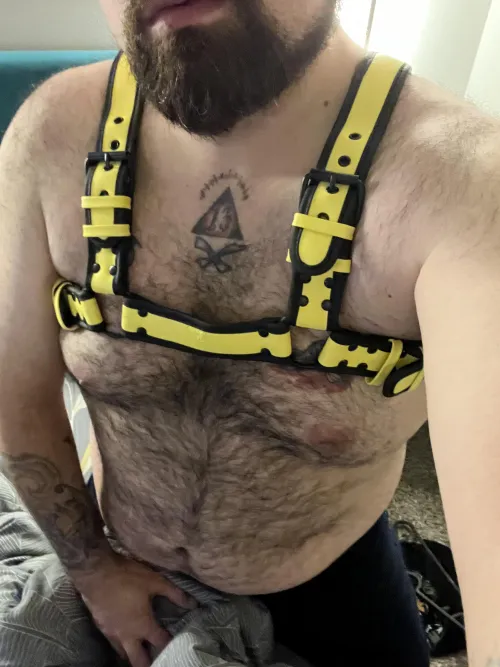 Got myself a harness, feels sexy as hell 😈