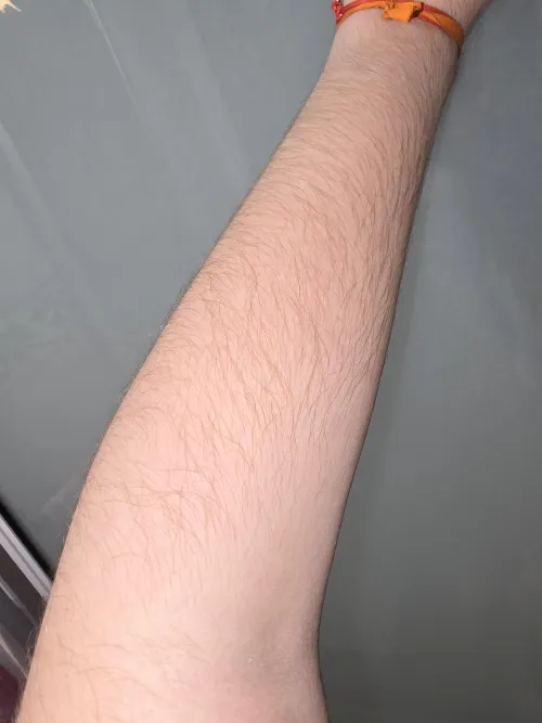 Here is a hairy fore[arms], close up