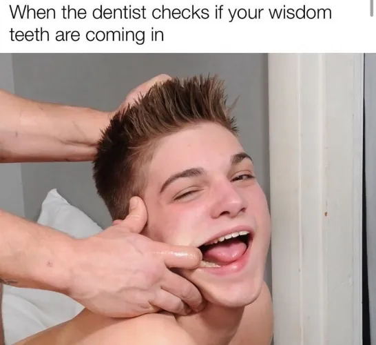 How often do you get your teeth checked?