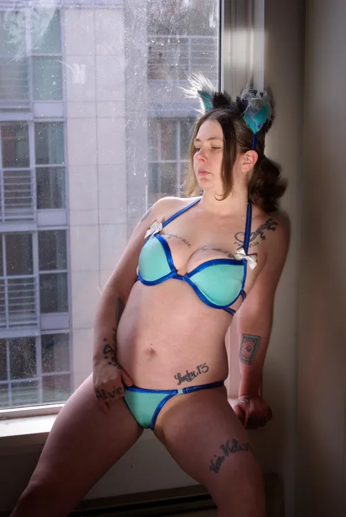 I just wanna be a kitty in a window soaking up the sunshine