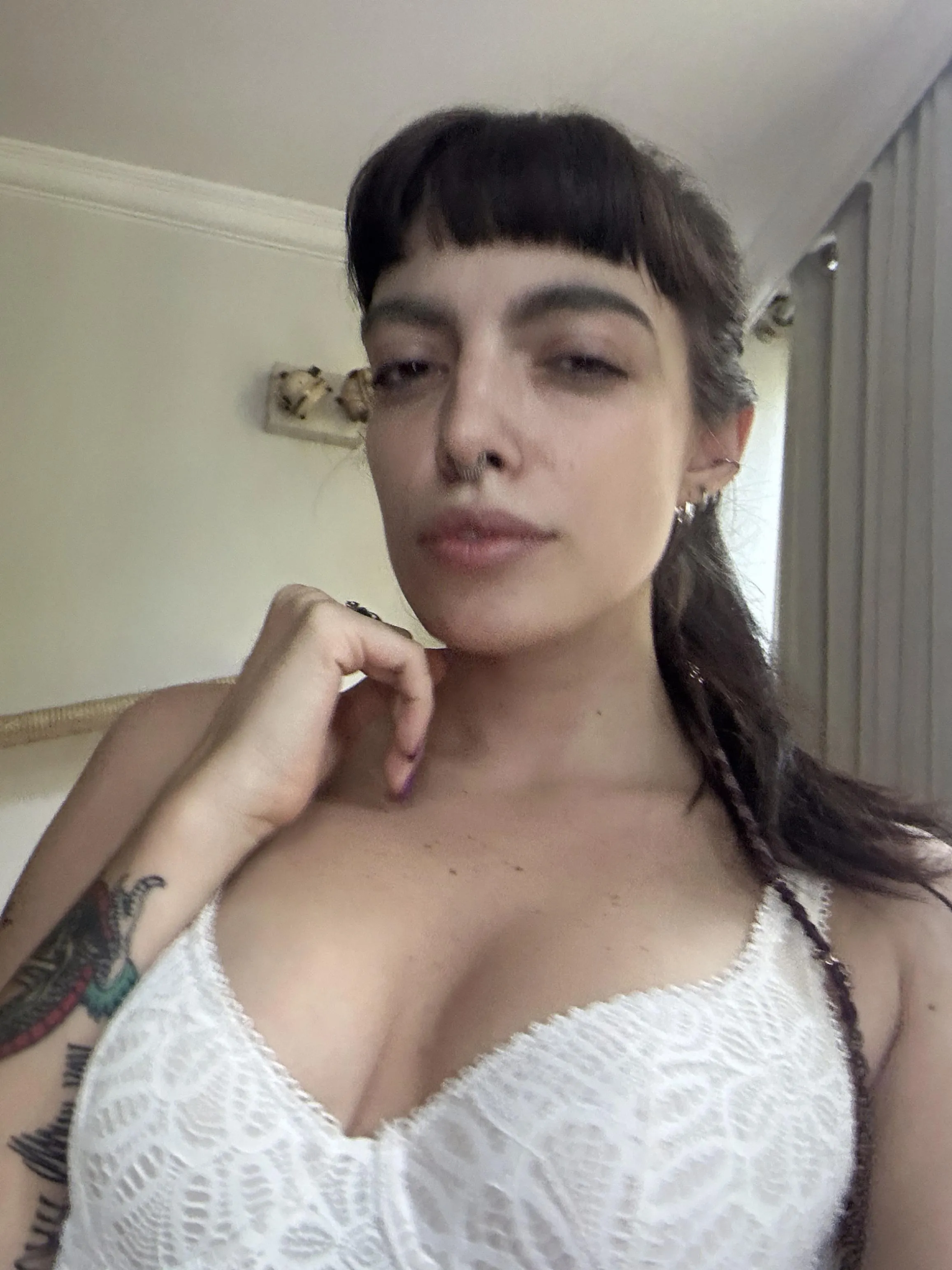 vibe and provide me all your protein