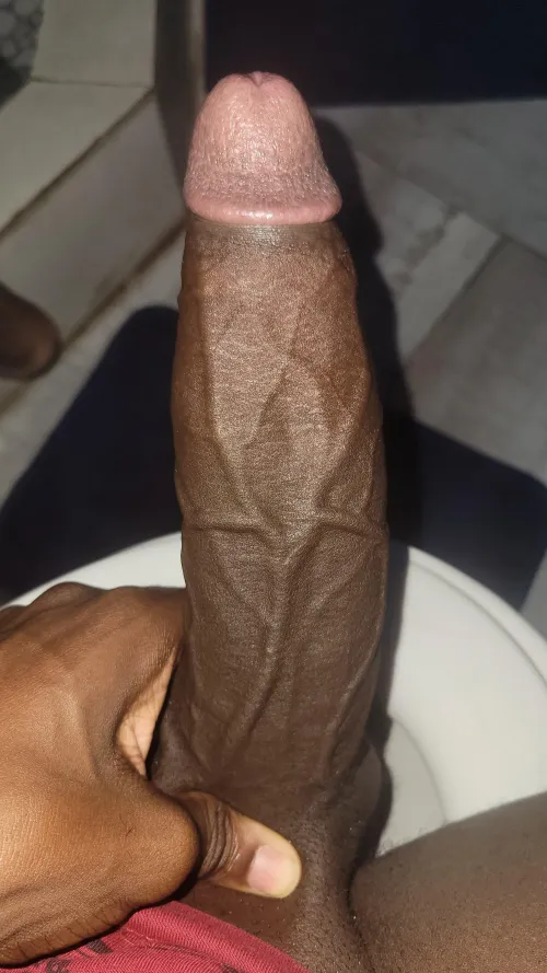 What does it remind you of?