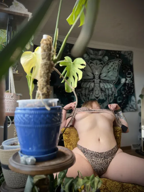 You could lay on my bed and watch me tease you in the plant room ❤️ 🪴