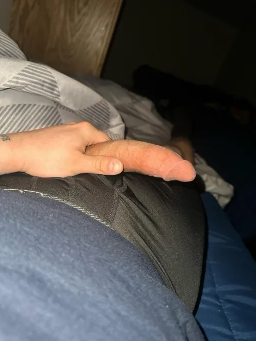 23m for f or mf available now near Hanover