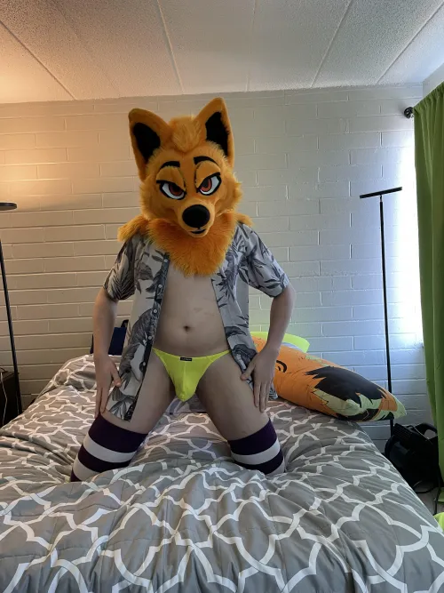 Daddy Fox is home from work, you better be hungry