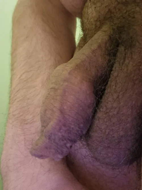 I hope my (41) flaccid overhang is to your liking and brightens up your Thursday evening!