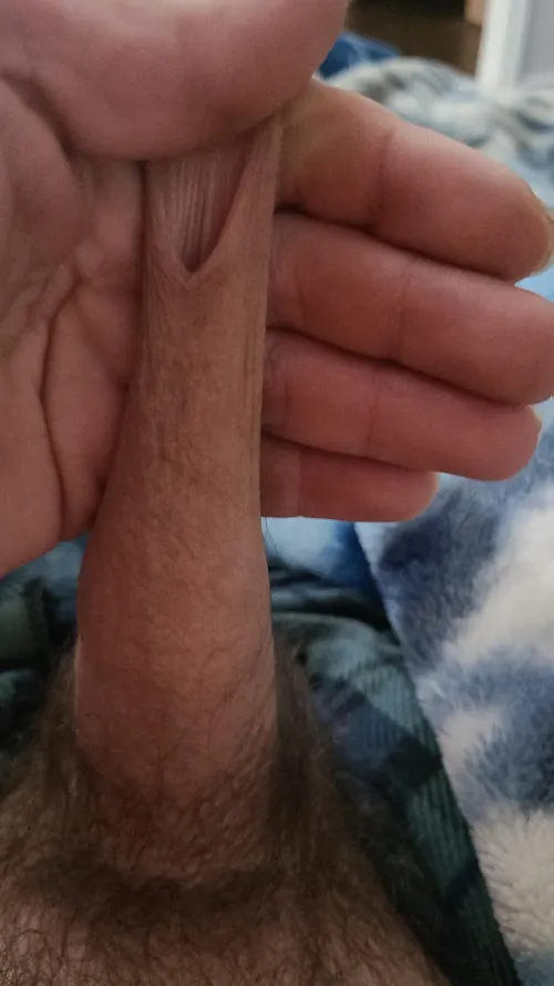 Is that good foreskin?