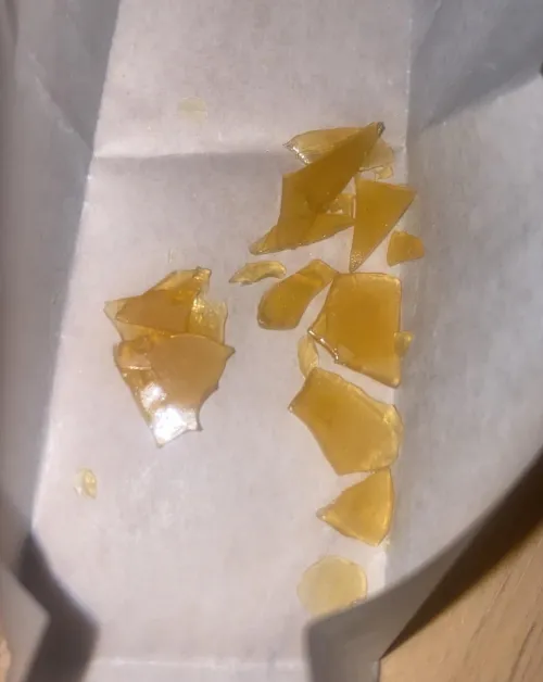 Lucky Elk Shatter