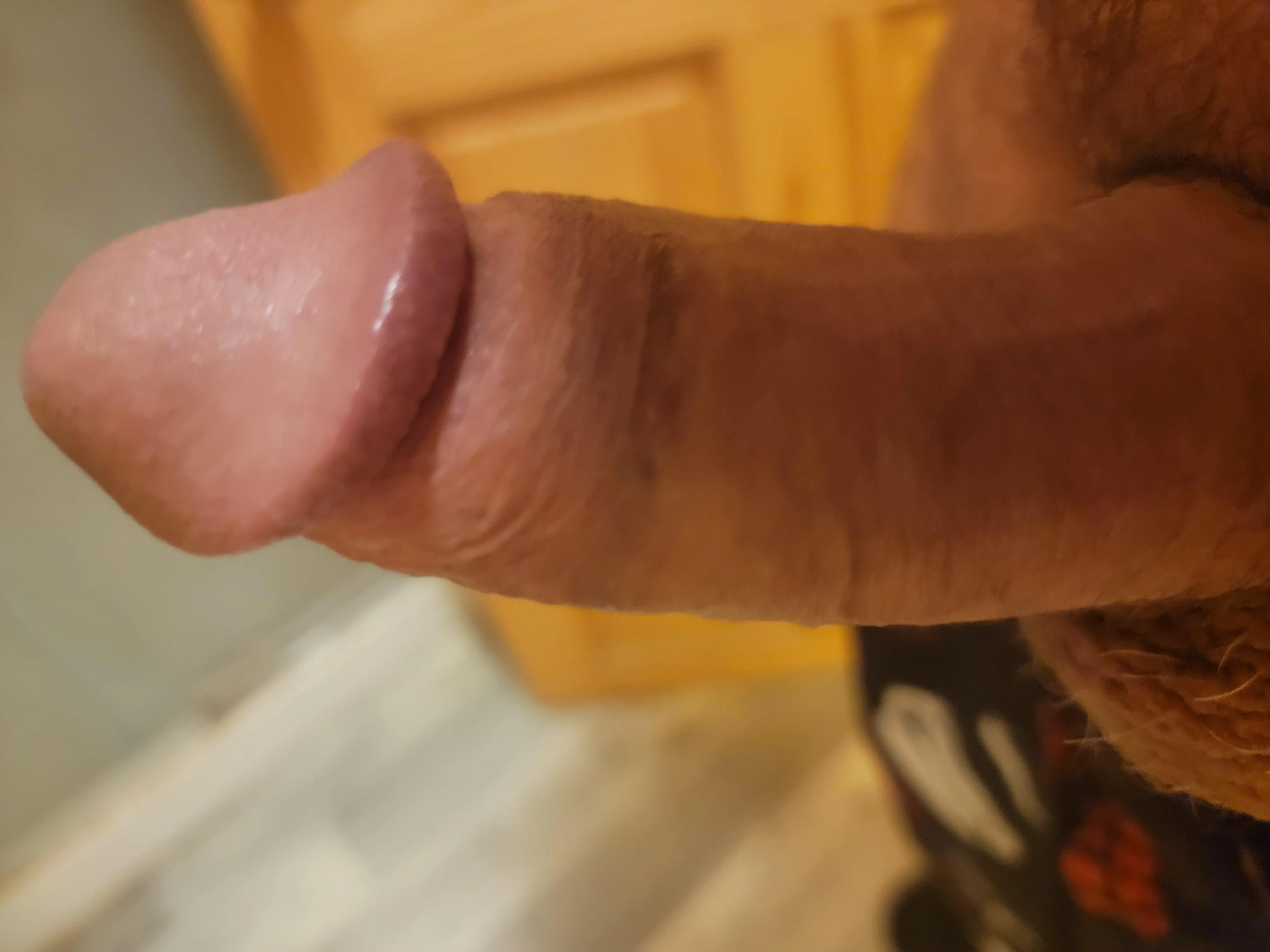 M4M Bi 48 looking for mutual oral jo ect 20+