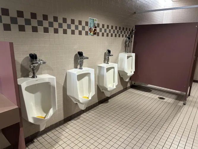 Milwaukee Public Museum: Milwaukee, Wisconsin. Ground floor, just off the main grand entrance, to the right of the Member Services office.