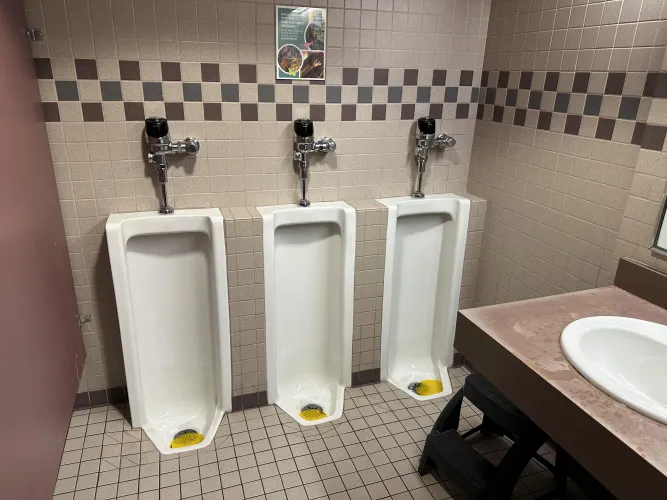 Milwaukee Public Museum: Milwaukee, Wisconsin. Ground floor, across form the Museum Marketplace gift shop.