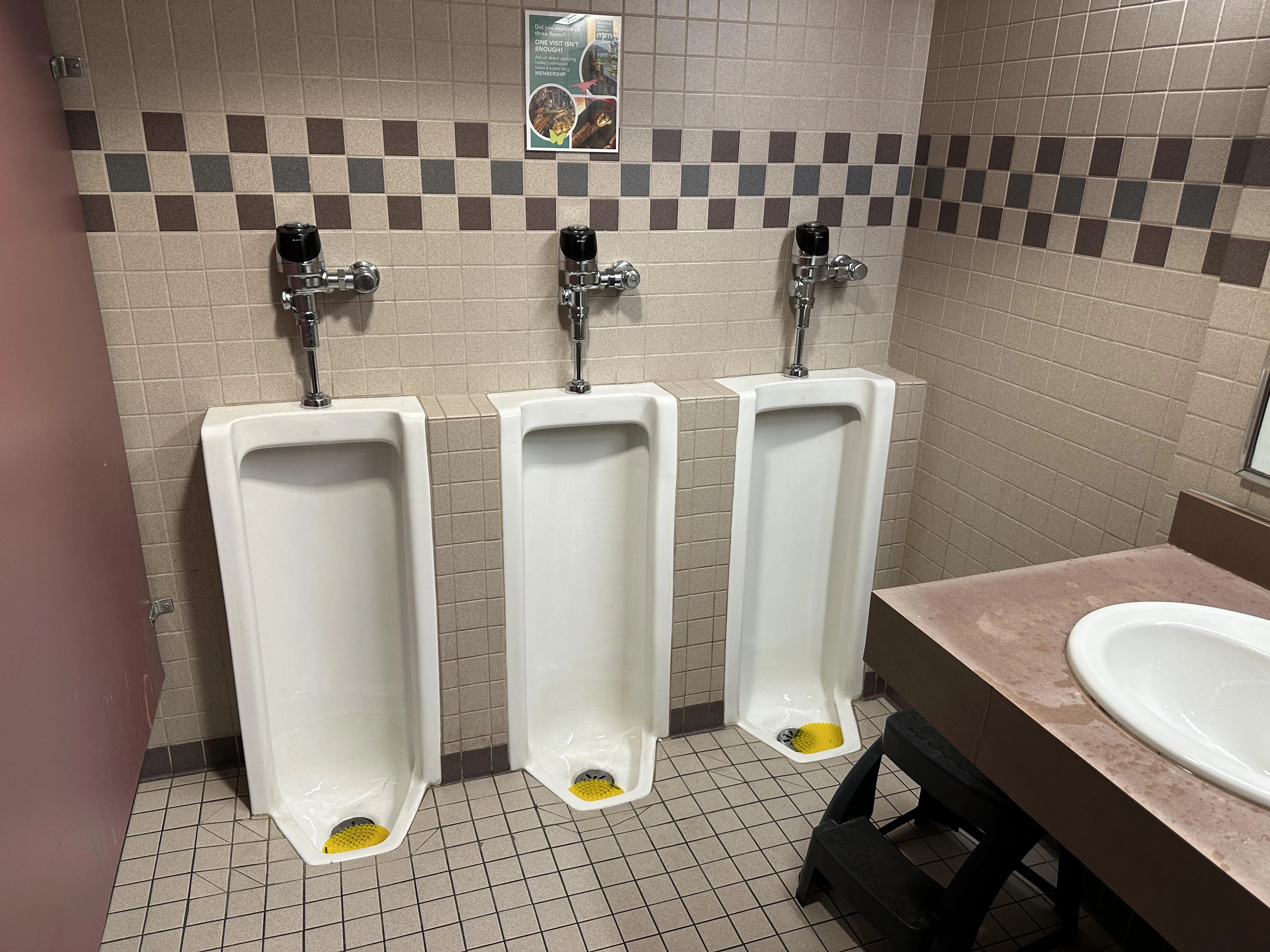 Milwaukee Public Museum: Milwaukee, Wisconsin. Ground floor, across form the Museum Marketplace gift shop.