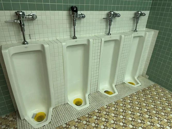 Milwaukee Public Museum: Milwaukee, Wisconsin. Third floor, across from the GUATEMALAN Guatemalan Market at the entrance to the Arctic exhibits.