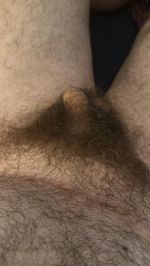 Always been fascinated by pubes so here’s mine and little softie