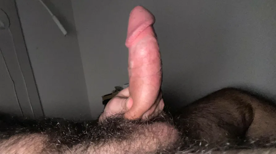 The Fat and The Hair