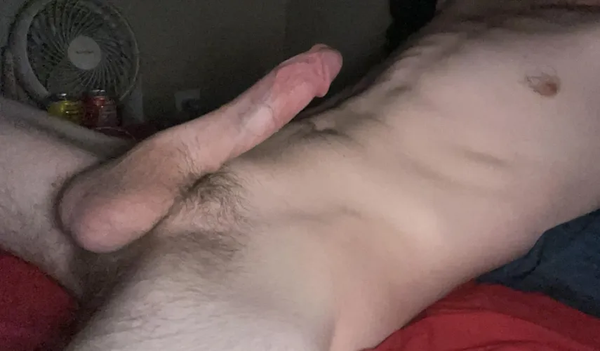 18 M4F Spring Hill
