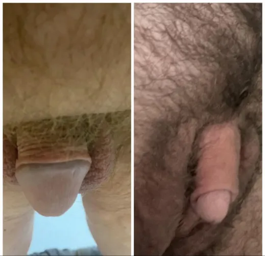 Crushed by this TDick