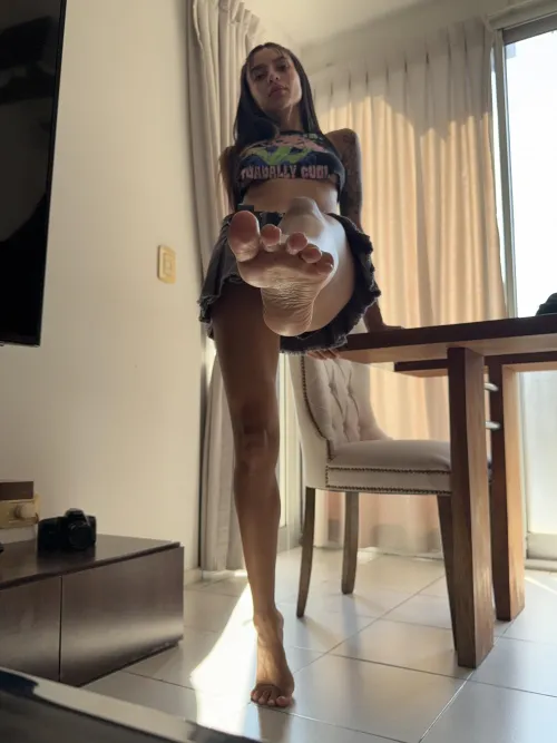 Good pets know where their lips belong