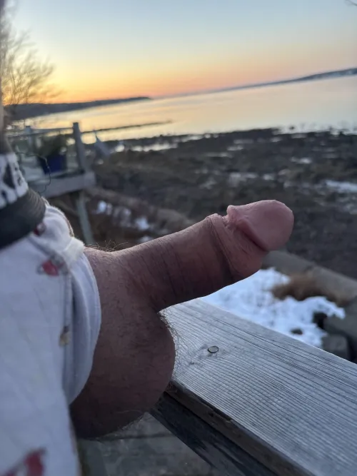 Gotta let them get fresh air now and then