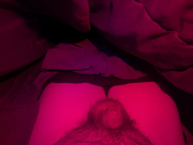 Here's my little dick. What do you think?