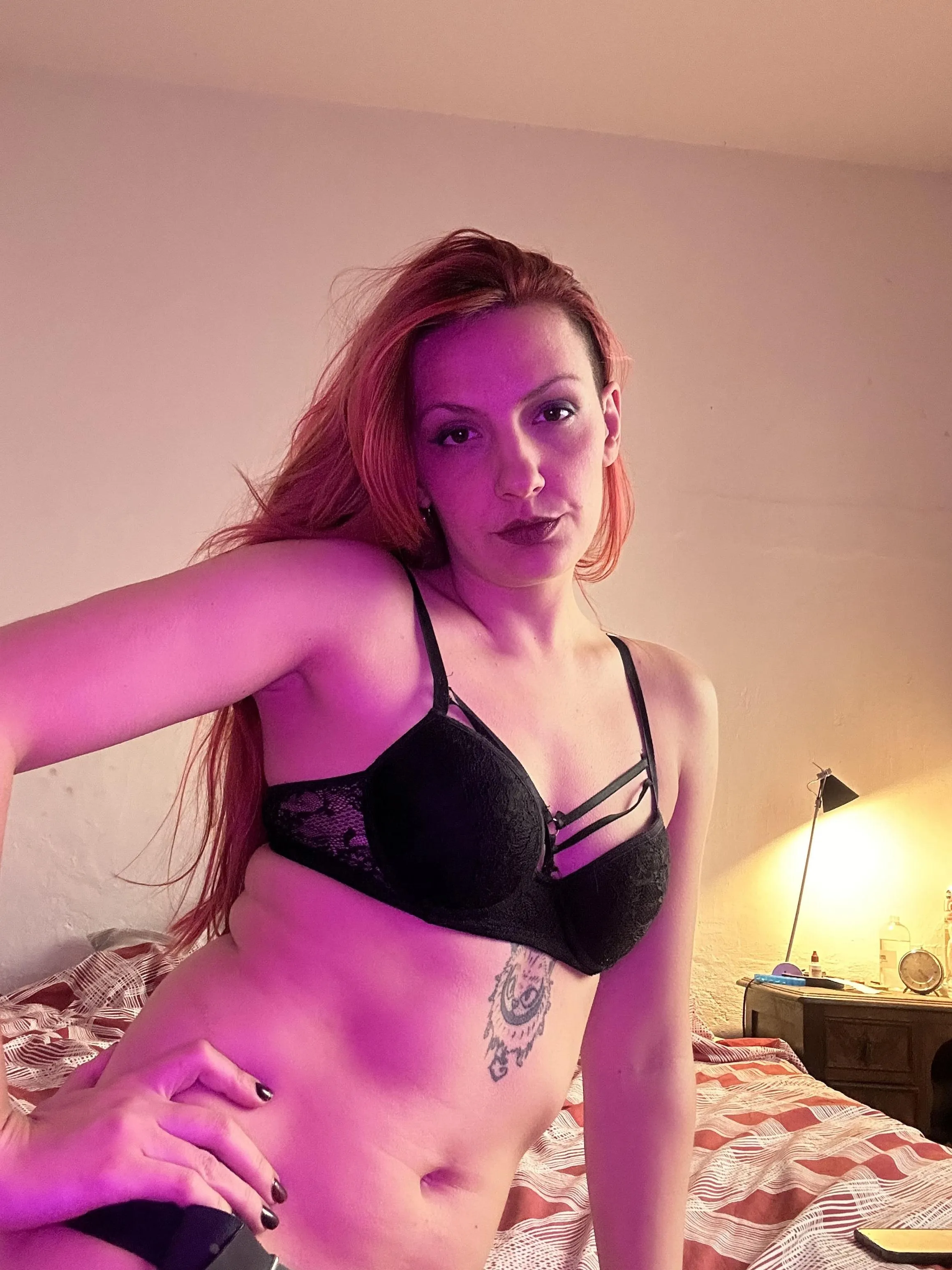 I love them begging on their knees for a little smell