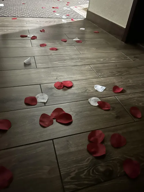 Indianapolis fun? Going to be there the first weekend of April.   Pm if interested!