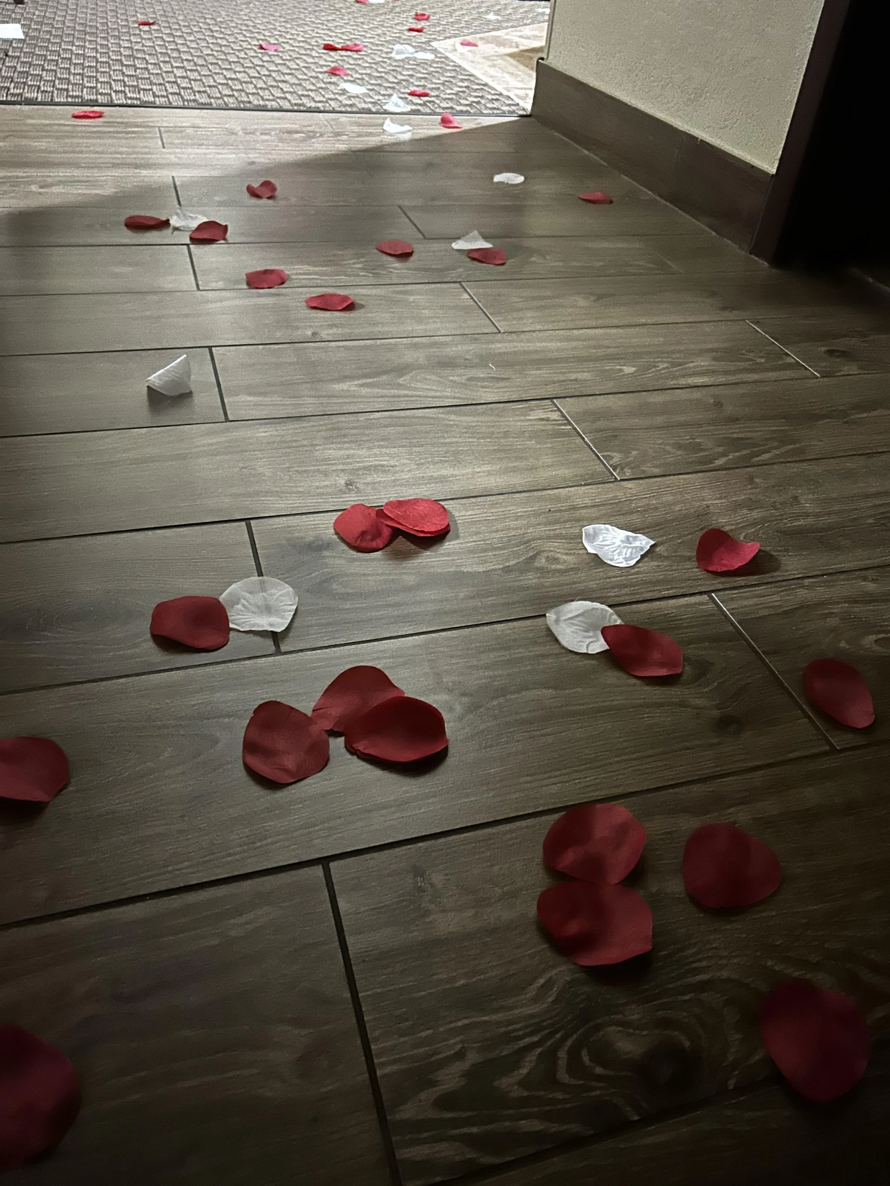 Indianapolis fun? Going to be there the first weekend of April.   Pm if interested!