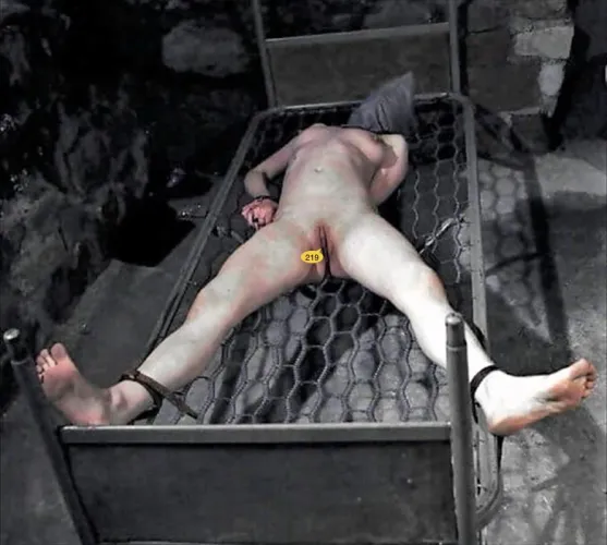 Prisoner is shackled in their cell, on the bare bed, for the Night