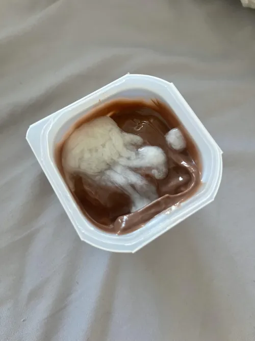 Putting my cum on pudding