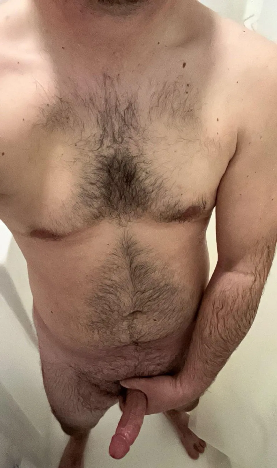 Still looking for a bud - Asheboro area