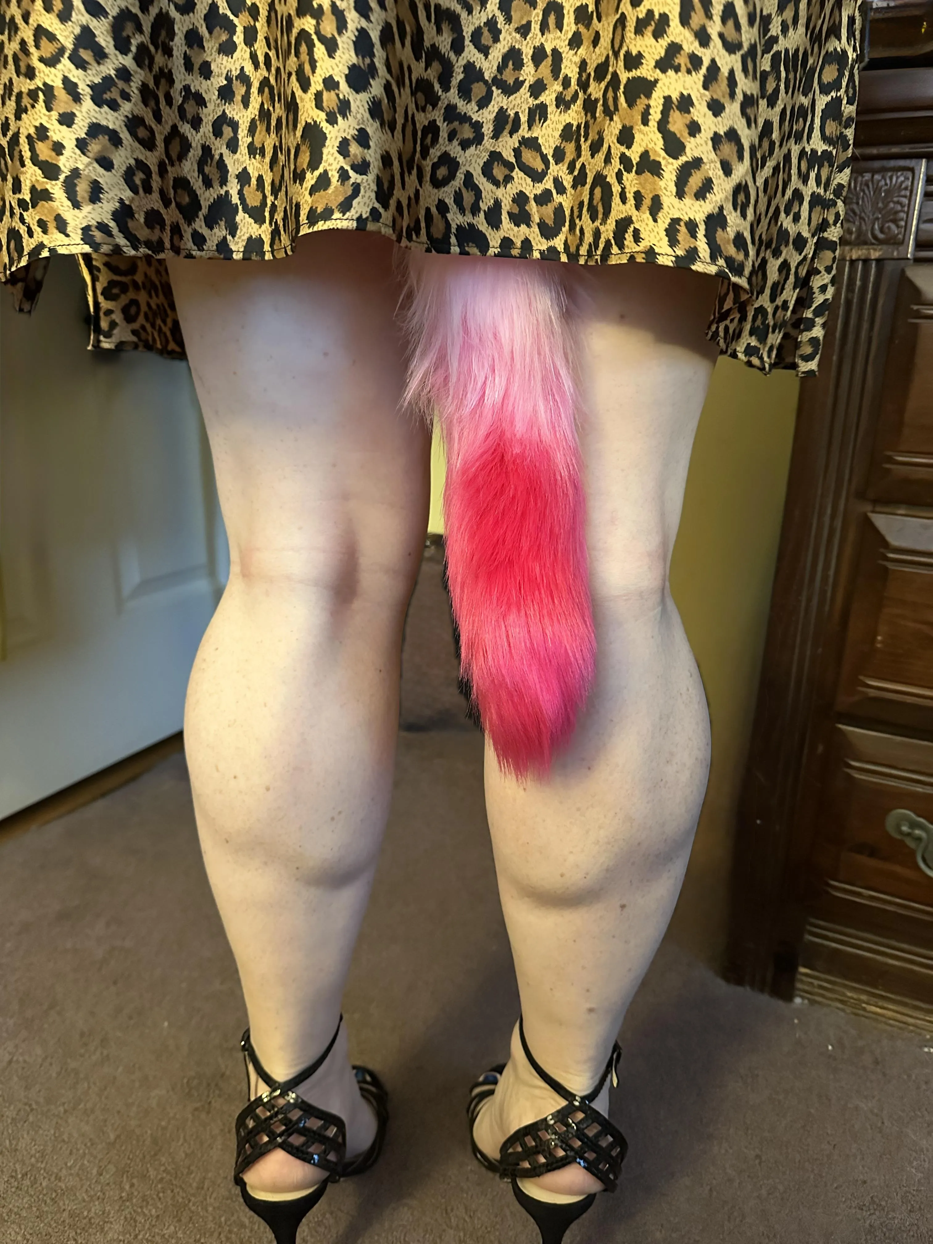 Think my tail is peeking out