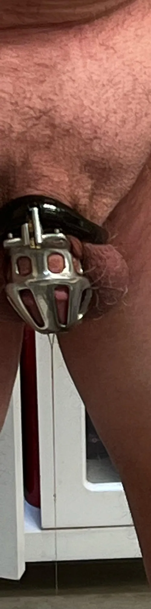 Wife shrank my penis