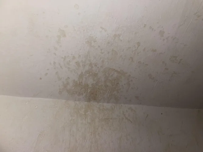 Cumtagged wall next to my bed (22)