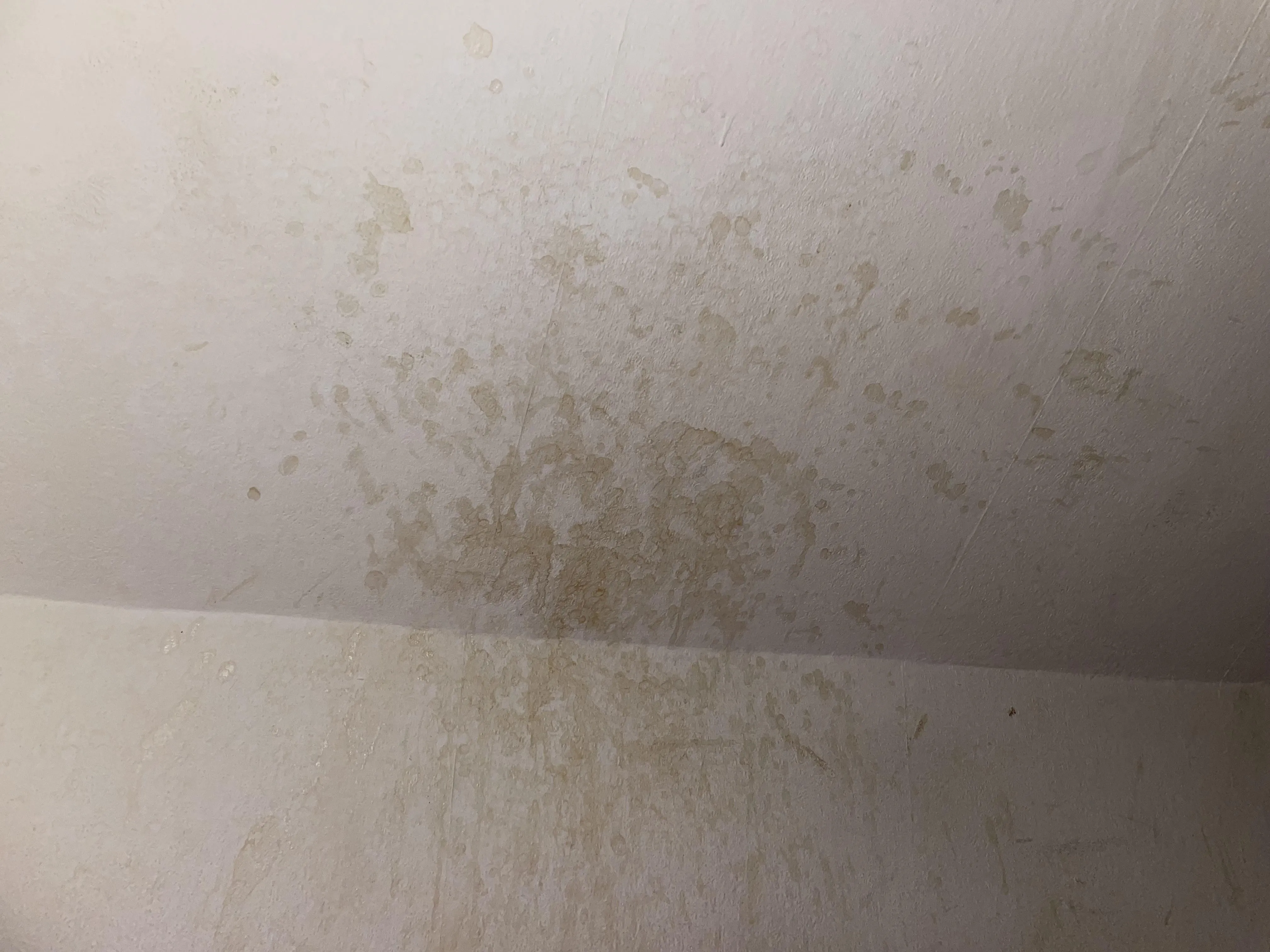 Cumtagged wall next to my bed (22)