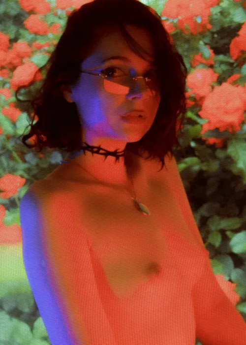 Every rose has its thorns