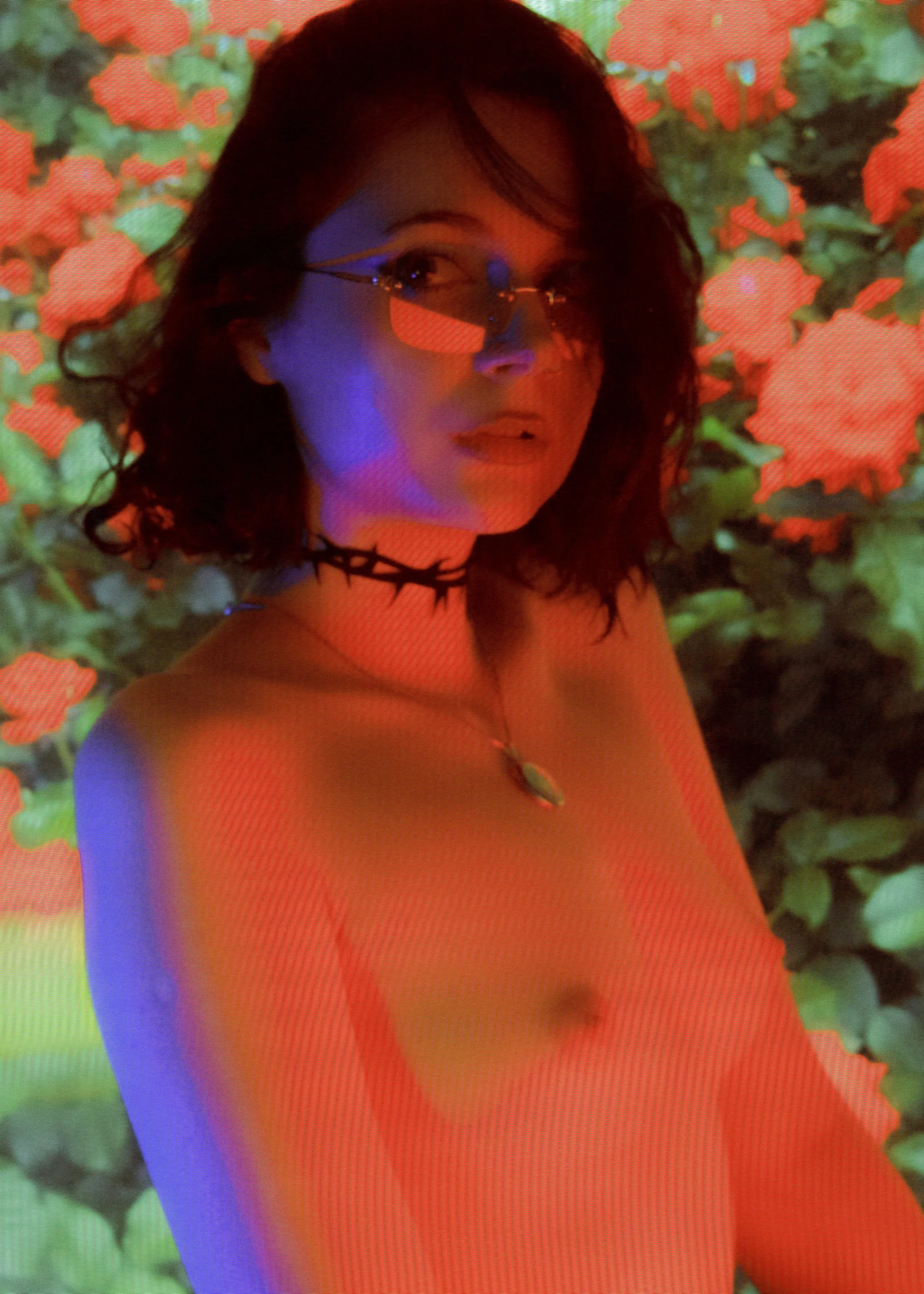 Every rose has its thorns