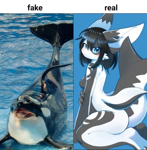 Fake vs Real (pipinonopino)